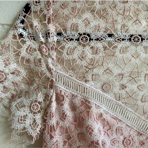 SAYLOR Lillie Lace Illusion Dress 
Illusion Neckline/Open Back 
MED 
BLUSH/IVORY - Picture 9 of 16